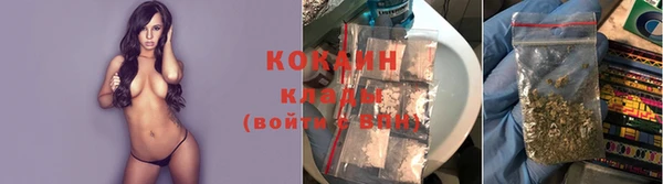 mdpv Каменка