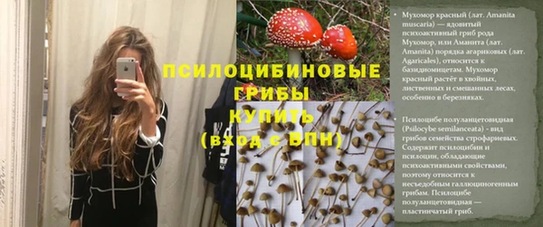 mdpv Каменка