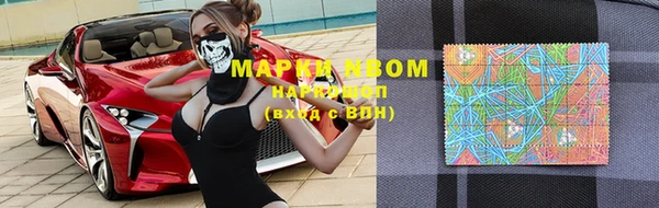 дмт Каменногорск