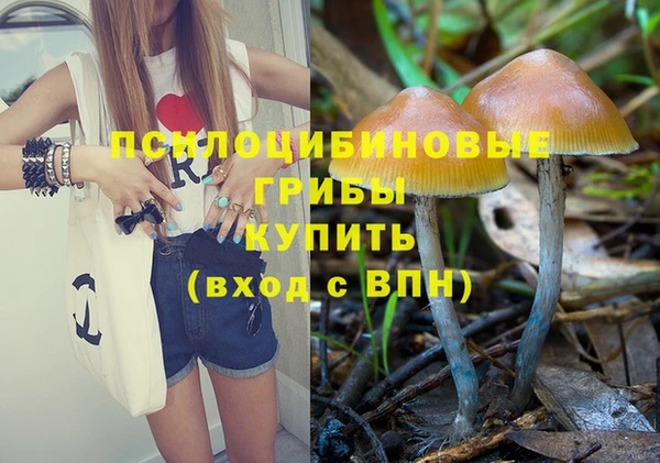 дмт Каменногорск