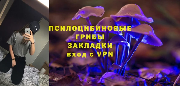 mdpv Каменка