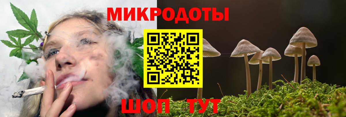 Псилоцибиновые грибы мухоморы Нефтекумск